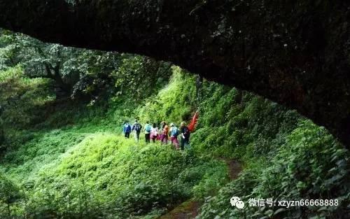 最美的校园女生71